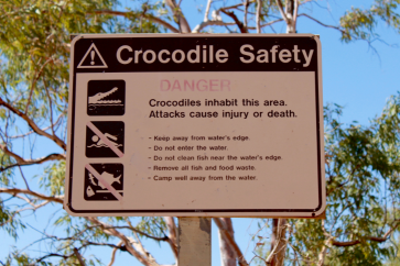 wildlife safety crocodiles snakes spiders first aid